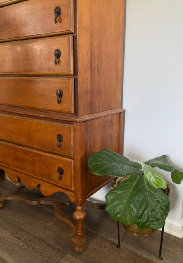 The Blue Building Antiques Shopatblu National Tree Day fiddle leaf figs