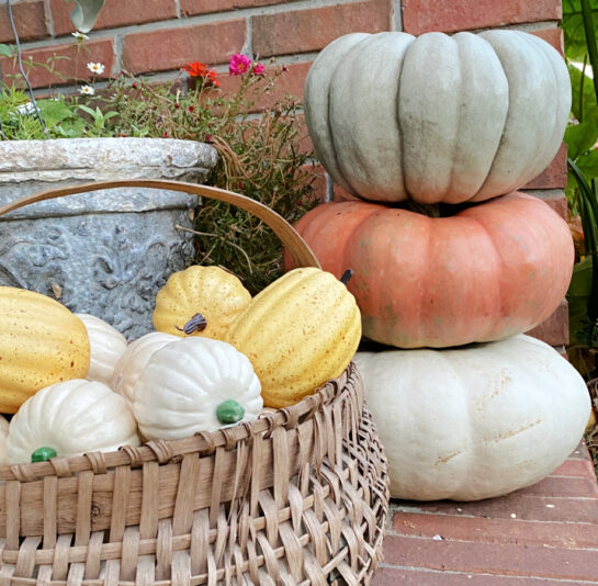 How to Transition Your Outdoor Decor to Fall - Shop at Blu