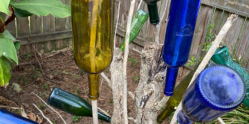 shopatblu wine bottle tree homemade