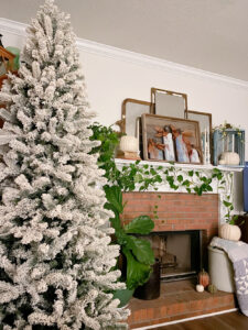 shopatblu artificial christmas tree queen flock slim scrap pumpkins